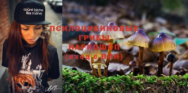 гашик Алексеевка