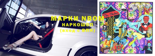 гашик Алексеевка